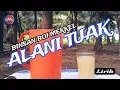 Download Lagu BBM ( BINCAN BOI MEKKEL) ALANI TUAK - LIRIK LAGU BATAK