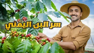 وادي الدور في اليمن أجمل وديان إب الخضراء  وادي الدور في اليمن أجمل وديان إب الخضراء