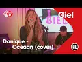 Download Lagu Danique - Oceaan (Racoon cover) | NPO Radio 2