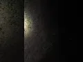 Rabid wolf spider s eyes look like diamonds around me