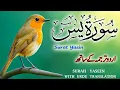 Download Lagu Surah Yaseen (Yasin) with Urdu Translation by Qari Ismail Annori | Heart of the Quran