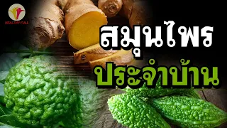  สมุนไพรชนิดใดช่วยบรรเทาอาการวิงเวียนหน้ามืดและขับลมได้บ้าง 