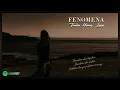 Download Lagu Fenomena - Tiada Yang Lain (lirik lagu)