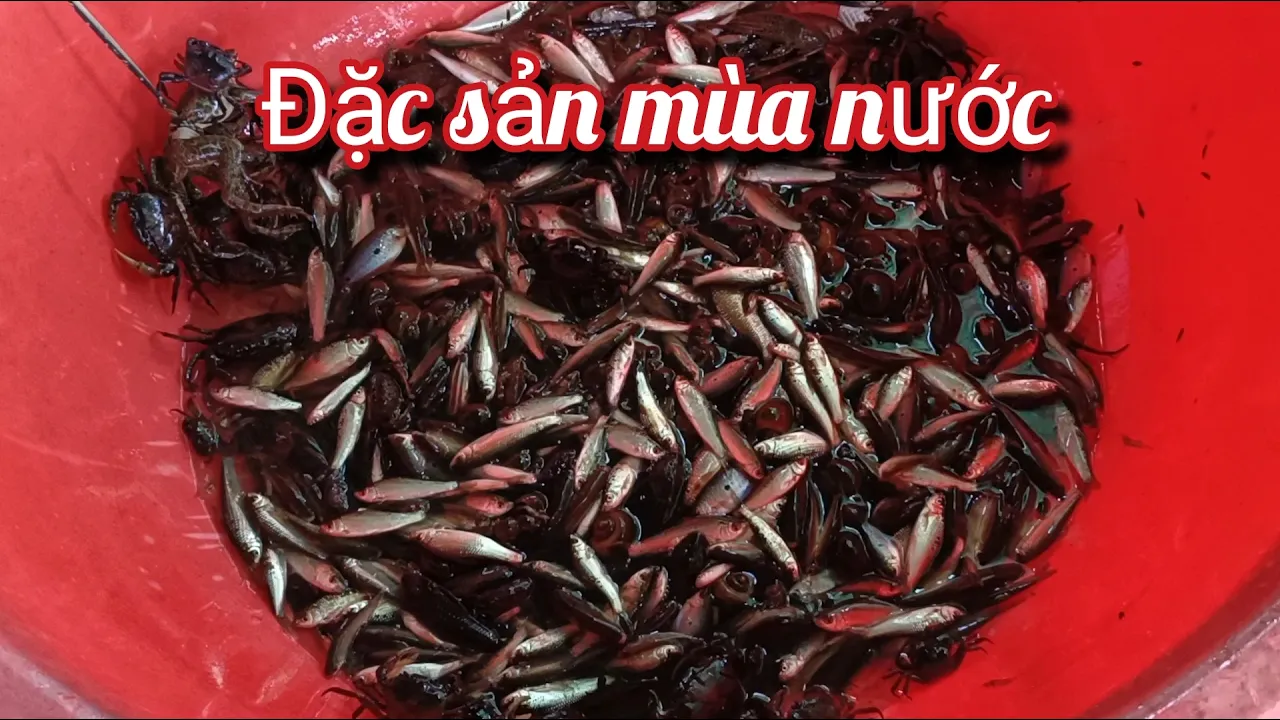 Đặc sản mùa nước nổi 23