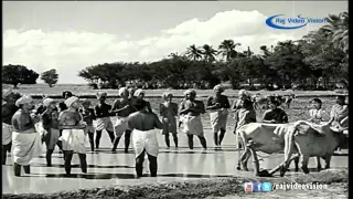 kaamam agatriya song hd nandanaar