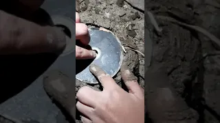 طريقه استخراج عرج السواحل من القنفذ 