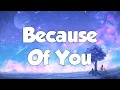 Download Lagu Because Of You (Acoustic) - 98 Degrees