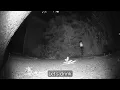 Download Lagu Voor de zoveelste keer een egel in de tuin