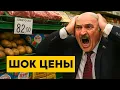 Download Lagu European in SHOCK from Belarusian prices!? Belgian's reaction to Belarusian products! Why eat THIS?