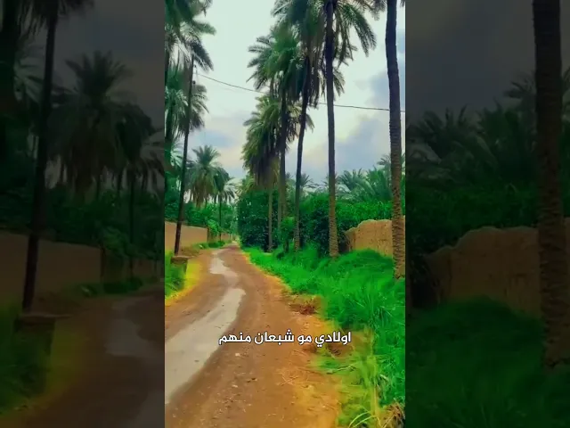 ⁣اللهم لاتحرمنا من عطائك | د.احمد الوائلي