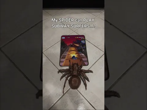 Spider Plays Subway Surfers for the first time... #shorts #subwaysurfers #vfx