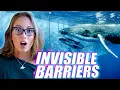 Download Lagu There Are Lines in the Ocean Animals Will Not Cross