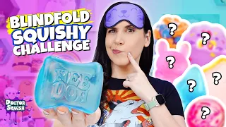 Blindfold SQUISHY Challenge! Can I Guess Them All??