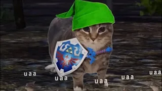 Freckled Zelda song livestream :3