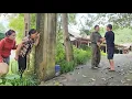 Download Lagu HANG sought help from his uncle but was sent away. His wife witnessed the whole incident.