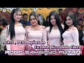 Download Lagu Djandut Terbaru Jaranan ROGO SAMBOYO PUTRO Feat SHAFIRA Audio