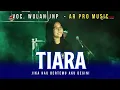TIARA | Voc. Wulan JNP Cover Jandut AR PRO MUSIC Shafira Audio \u0026 Lighting Terbaru 2022