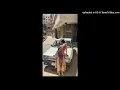 'Ya Hala' - Zeina
