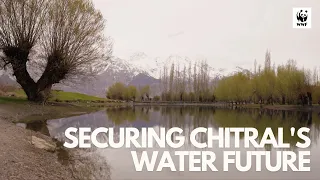 How Nature-Based Solutions Are Transforming Water Management in Chitral | WWF-Pakistan