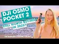 My Honest Review of the Osmo Pocket 2