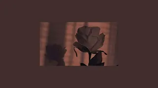 ورد صناعي   تامر حسني   مسرعة                                       دندنها