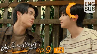  eng sub when oranges fall ep 9 1 4 