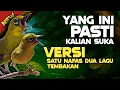 Masteran Pleci Mewah Satu Nafas Dua Lagu Tembakan Variasi