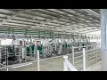 Download Lagu GEA Dairy Farming - Robotic Dairy Open Day | Bonnay Jerseys, South Gippsland VIC, Australia