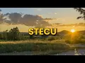 Download Lagu STECU STECU - Faris Adam (LIRIK LAGU)