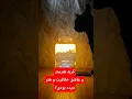 Download Lagu پاشا عاشق انجام هر کار خلاقانه و هنریه، گربه تو به چی علاقه داره؟ 😻 #پیشی #گربه #catlovers #cat