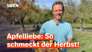 Alles rund um den Apfel: Von Apfelkuchen über Apfelwein bis zu Apfelleder | SWR Treffpunkt