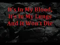 Demon Hunter - I Am a Stone (Lyrics on Screen)