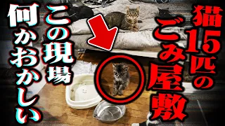 【超衝撃】冷凍庫をあけるとまさかの●●があるとんでもない一軒家の惨状がヤバすぎる...【コレコレ】