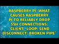 What causes Raspberry Pi to reliably drop SSH connections client - loop send disconnect Broken