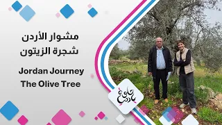 شجرة الزيتون عنوان مشوارنا اليوم من قرية تبنة في لواء الكورة   حكايات الأرض والتراث بانتظاركم     دندنها