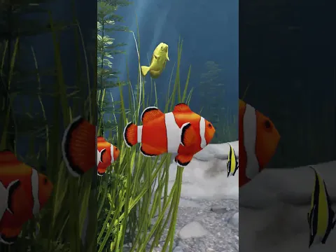 How do Flying Fish “Fly”?