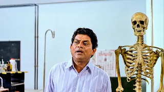 😂 ജഗതി ചേട്ടൻ എത്തിയാൽ പിന്നെ ചിരിക്ക് ഒരു കുറവുമില്ല! | Kottaram Veettile Apputtan Malahyalam Movie