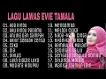 Download Lagu Full Album Evitamala