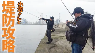 小沼さんと堤防でシーバス狙ってきた！！！