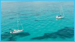 77. Guess Who We’re Spearfishing With!!! | Learning the Lines