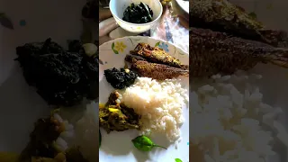 মায়ের বাসায় গেলে অন্য রকম  ফিল হয় যেটা চিরন্তন আলহামদুলিল্লাহ্ শোবাই আমার আম্মুর জন্য দোয়া করো 