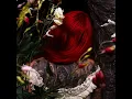 Bleeding Heart - Vana