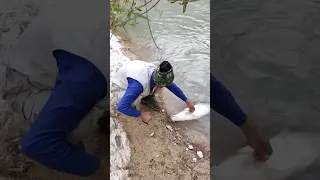 صيد سمك البز أو فرخ البز في شمال العراق  صيد السمك          دندنها