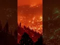 America Is Burning 87 Large Fires Soldiers Deployed 7M Acres Lost