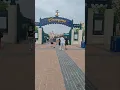 Download Lagu TikTok Favourites at Disneyland Paris
