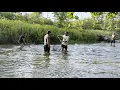 Download Lagu August 30, 2025 Anglers in Sanctuary Port Hope
