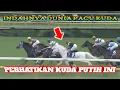 Download Lagu Indahnya Pacu Kuda ‼️ PERHATIKAN KUDA PUTIH INI. Melesat Jauh Tinggalkan Lawan Nya