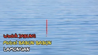 Download SANGAT HAUP❗Full BABON BABON Di Waduk Jabung Lamongan MP3