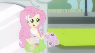 Fluttershy Looks for Animal Shelter Volunteers - Equestria Girls