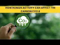 Explain how human activity can affect the carbon cycle